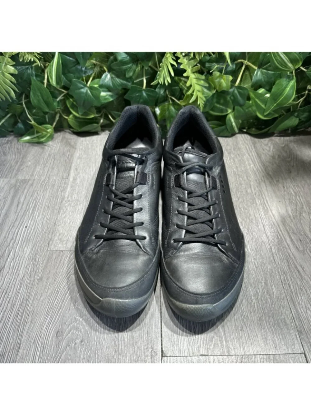 Ecco please check